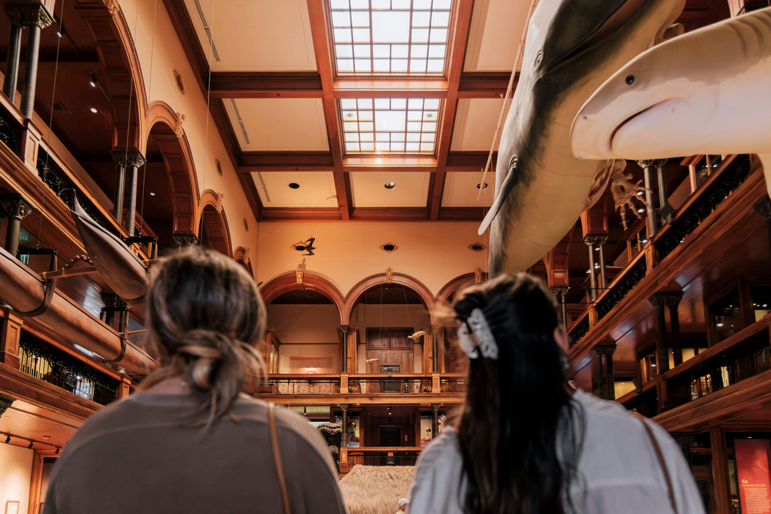 Interior view of Bishop Museum