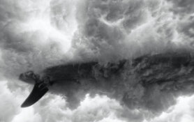 Surfboard Underwater by John Hook