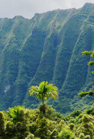 Koolau mountains