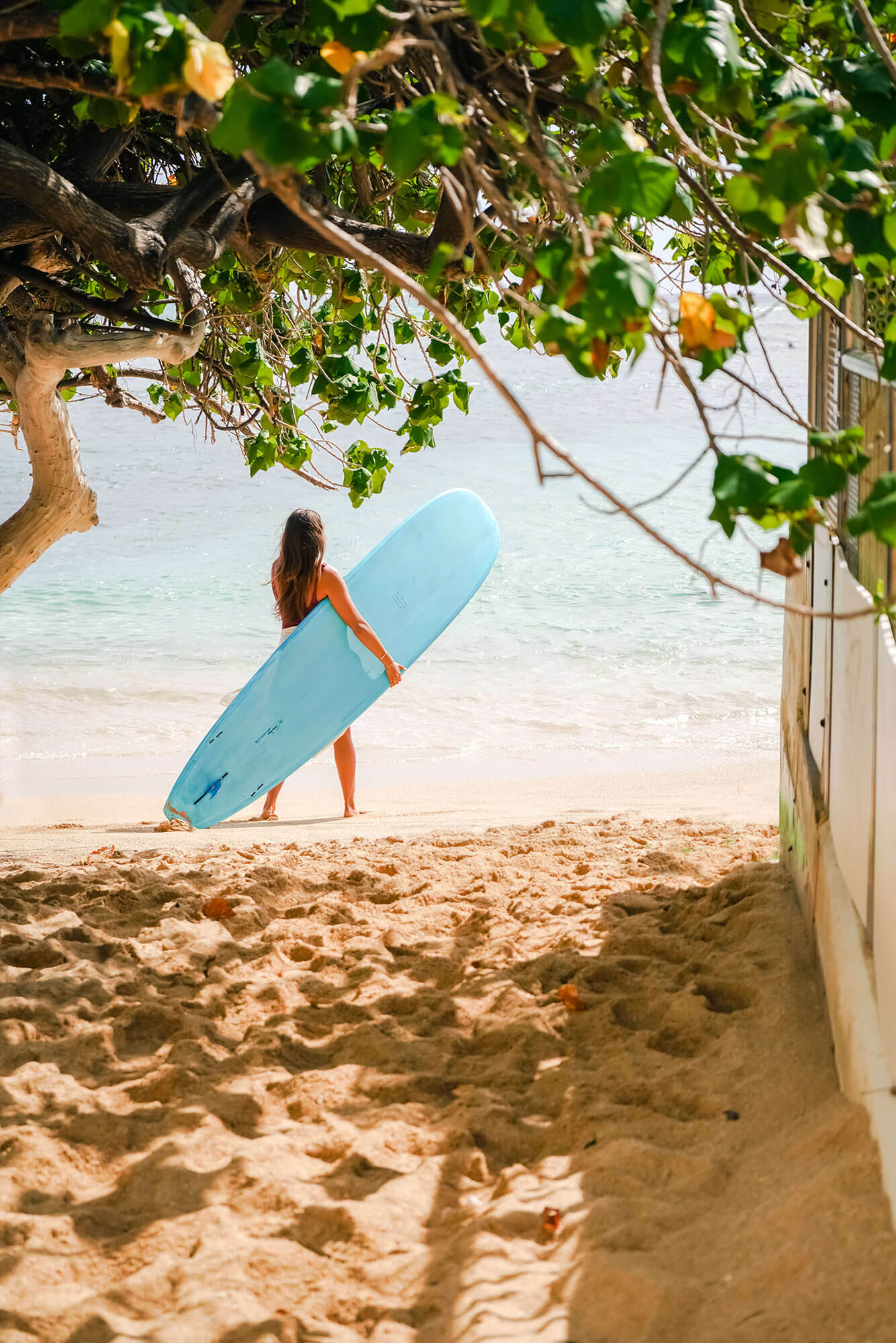 Surfer Waikiki