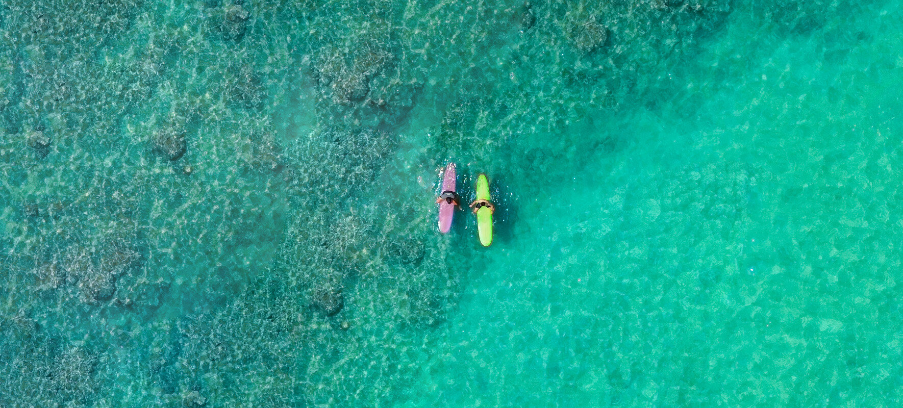 waikiki surfing