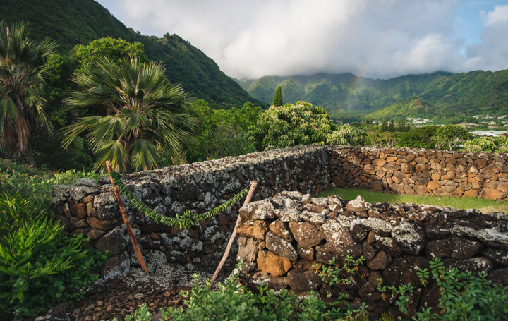 Manoa Heritage Center